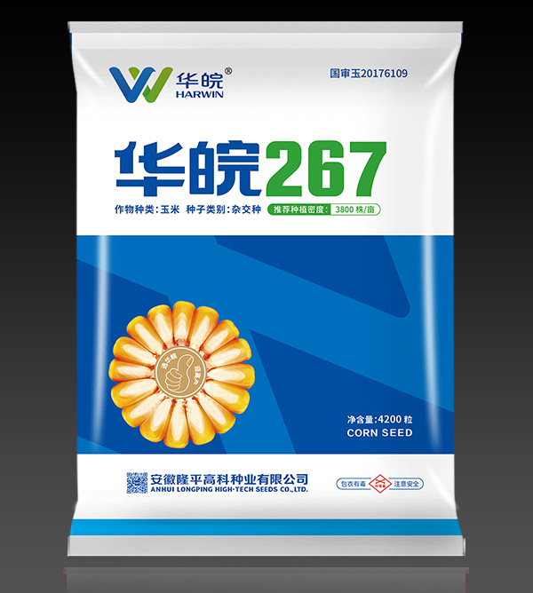 輪播1